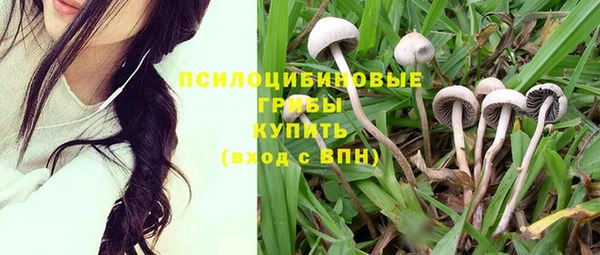 трава Абинск