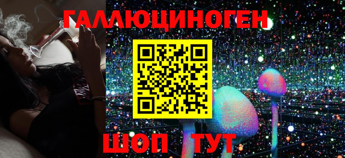 Псилоцибиновые грибы Cubensis Торжок