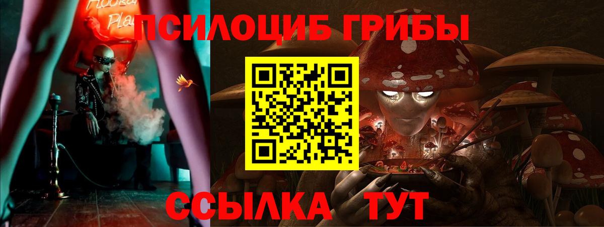 Галлюциногенные грибы мухоморы  Вход с VPN  Торжок 